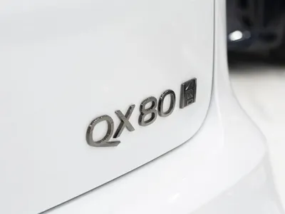 2025 انفينيتي كيو اكس 80