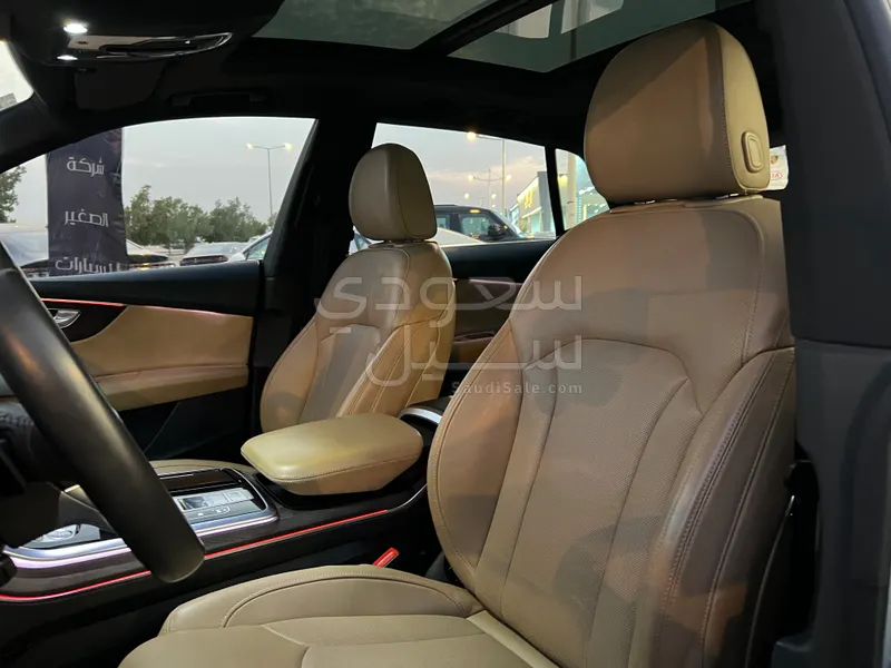 2019 اودي اس كيو 8