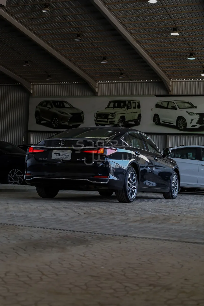 2023 لكزس إي إس 250