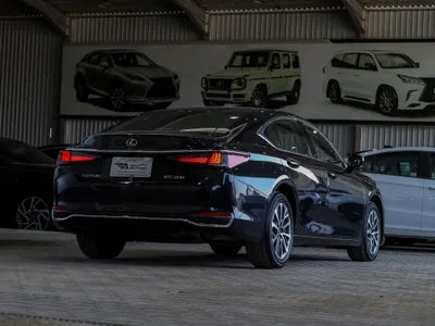 2023 لكزس إي إس 250