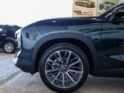 2024 جيتور داشينج