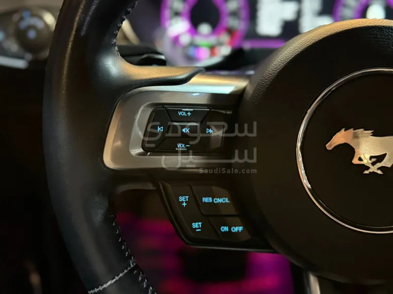 2019 فورد موستانغ جي تي