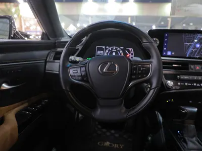 2023 لكزس إي إس 250