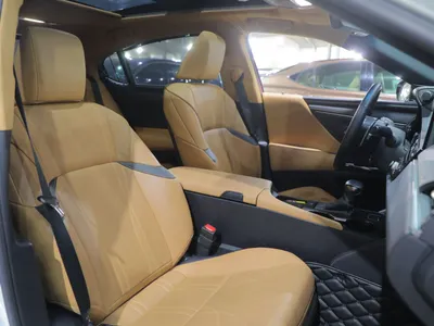 2023 لكزس إي إس 250