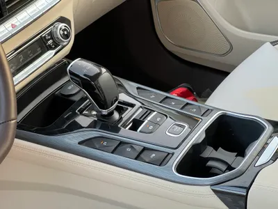 2023 فاو بيستون تي 77