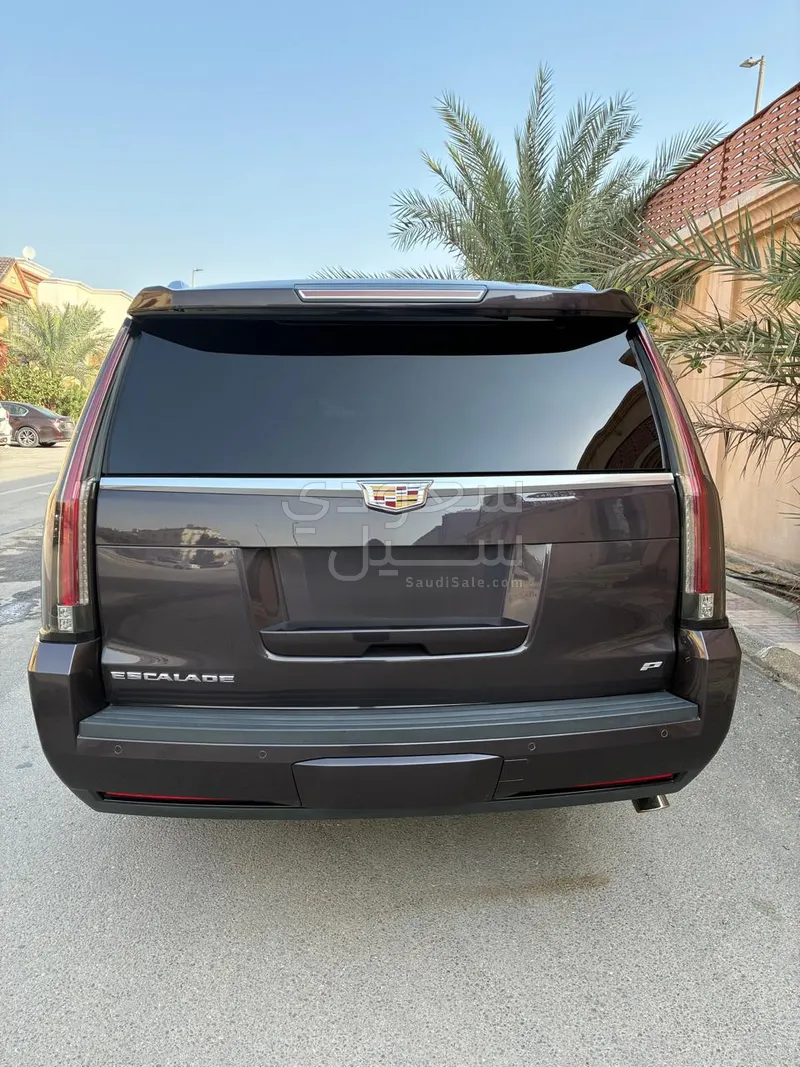 2015 كاديلاك اسكاليد بلاتينيوم