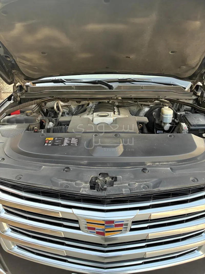 2015 كاديلاك اسكاليد بلاتينيوم