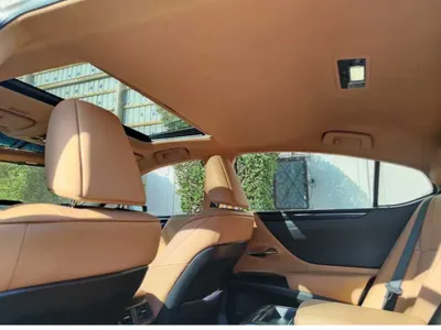 2023 لكزس إي إس 250