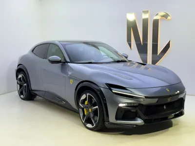 2024 فيراري بوروسانجوي