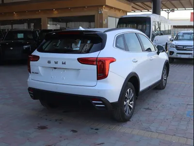 2026 هافال جوليون