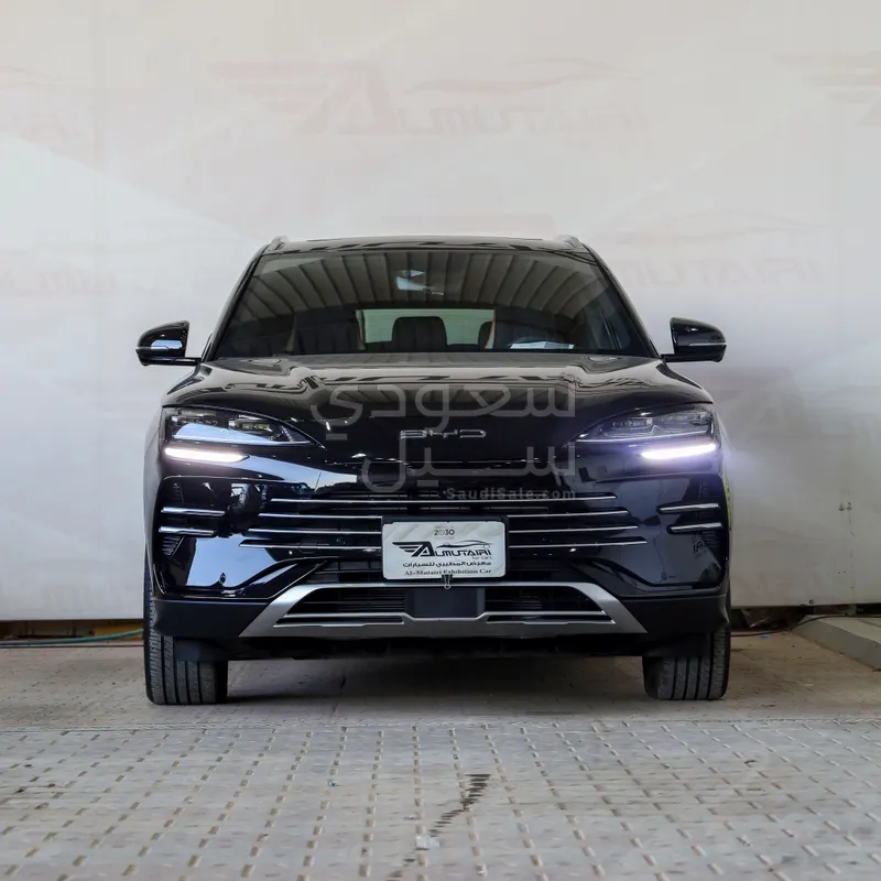 2024 بي واي دي سونج ماكس