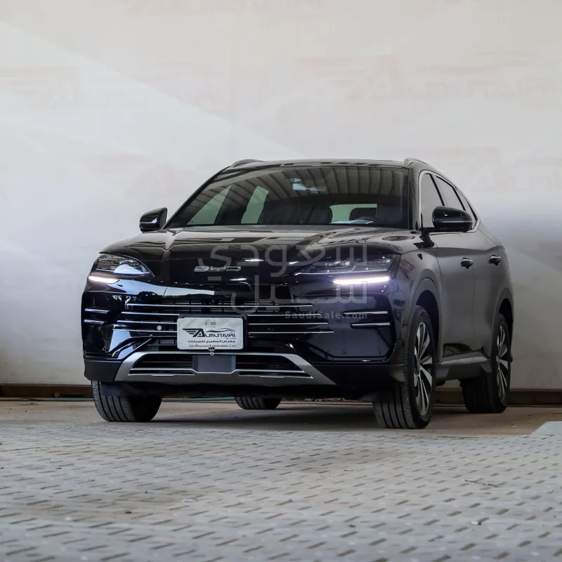 2024 بي واي دي سونج ماكس