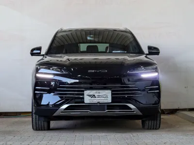 2024 بي واي دي سونج ماكس