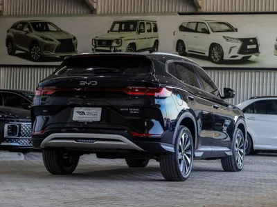 2024 بي واي دي سونج ماكس