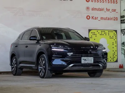 2024 بي واي دي سونج ماكس