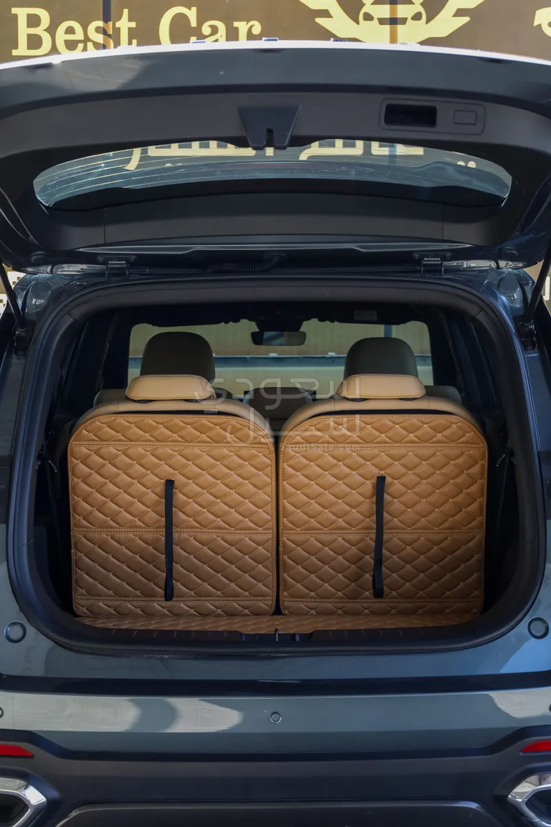 2024 جيلي اوكافانجو