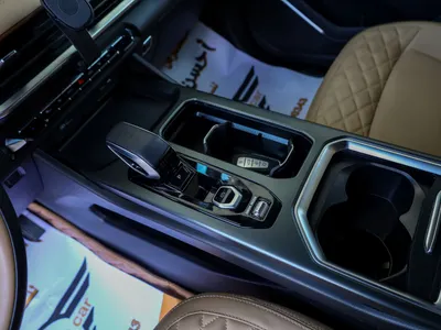 2024 جيلي اوكافانجو