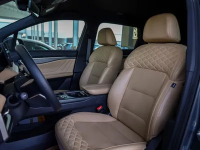 2024 جيلي اوكافانجو