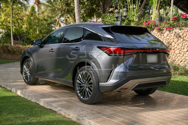 2023 لكزس أر إكس 350إل