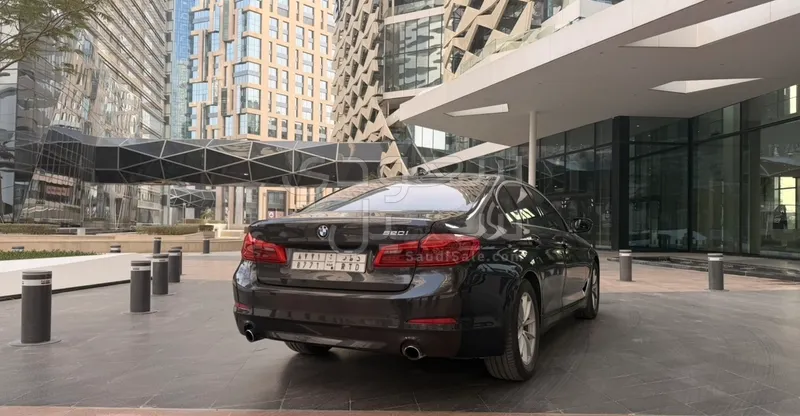 2019 BMW 5 Series 520i