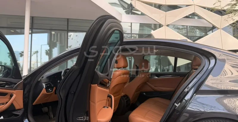 2019 BMW 5 Series 520i