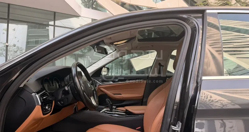 2019 BMW 5 Series 520i