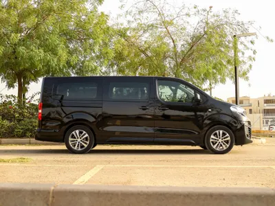 2024 بيجو ترافلر