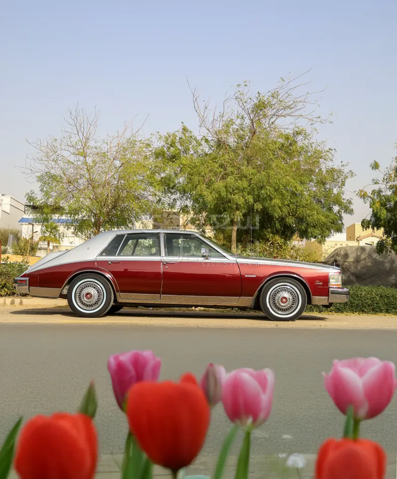 1981 كاديلاك سيفيل