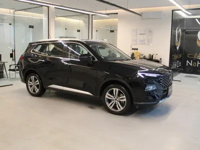 2024 فورد تيريتوري تيتانيوم بلس