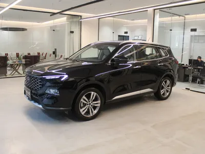 2024 فورد تيريتوري تيتانيوم بلس