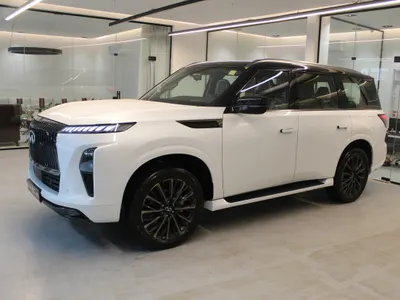 2025 انفينيتي كيو اكس 80