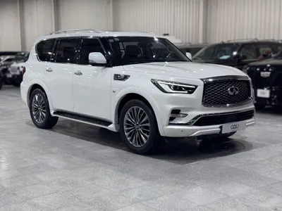 2019 انفينيتي كيو اكس 80