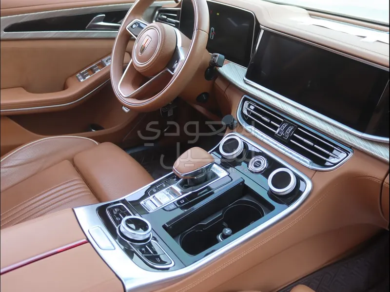 2021 Hongqi h9 Executive 3T Two Tone