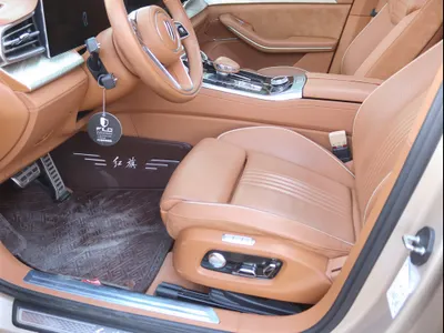 2021 Hongqi h9 Executive 3T Two Tone