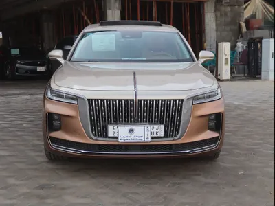 2021 Hongqi h9 Executive 3T Two Tone