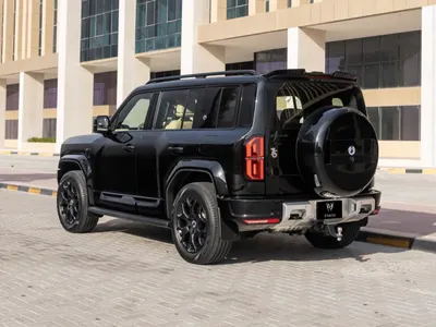 2026 بي واي دي ليوبارد 5