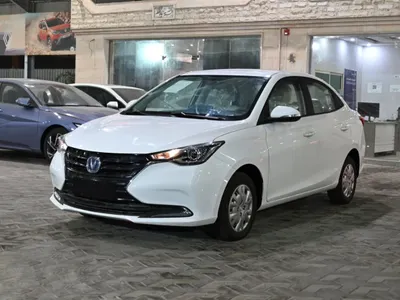 2025 شانجان السفن