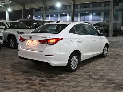 2025 شانجان السفن