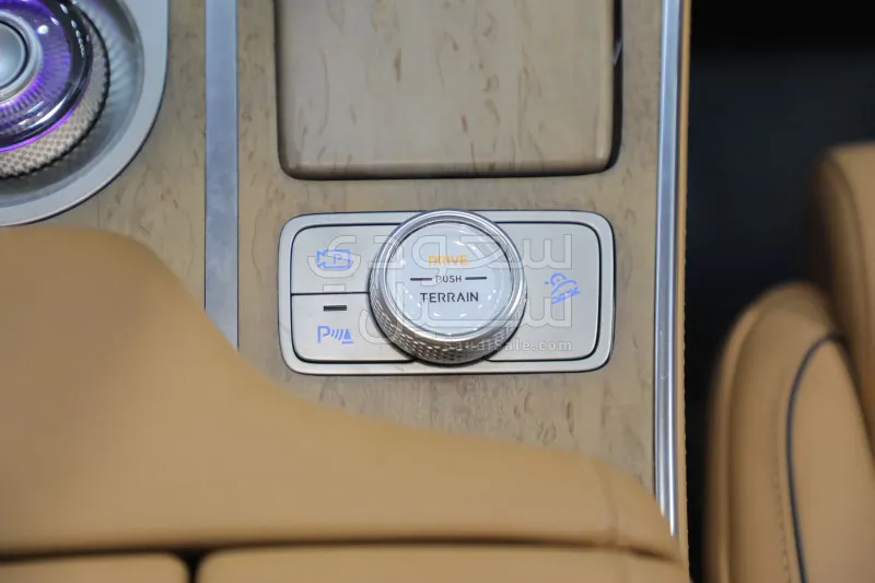 2023 جينيسيس جي في 80