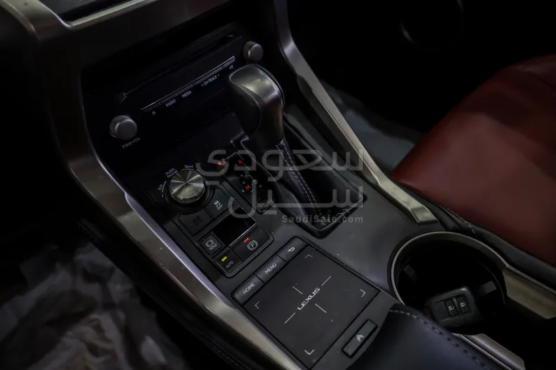 2020 لكزس إن إكس 300