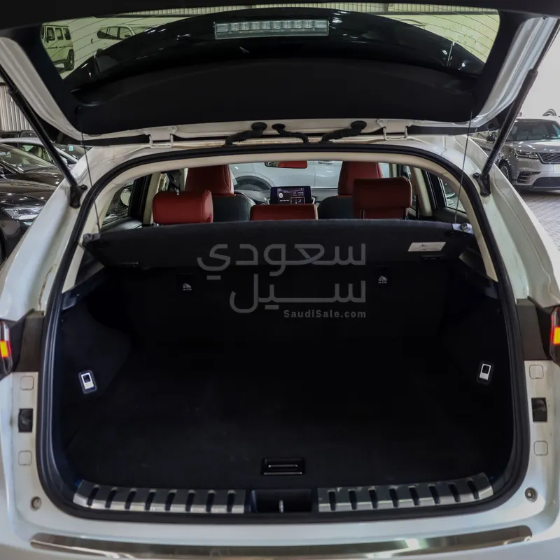 2020 لكزس إن إكس 300