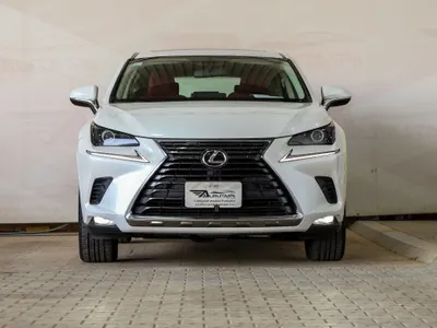 2020 لكزس إن إكس 300