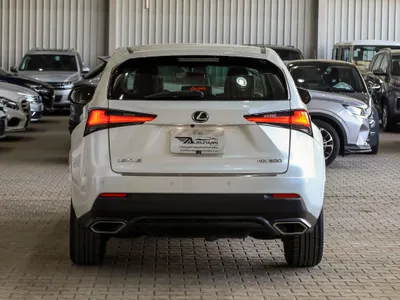 2020 لكزس إن إكس 300