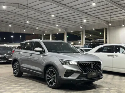 2025 فاو بيستون تي 77