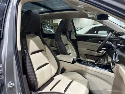 2025 فاو بيستون تي 77