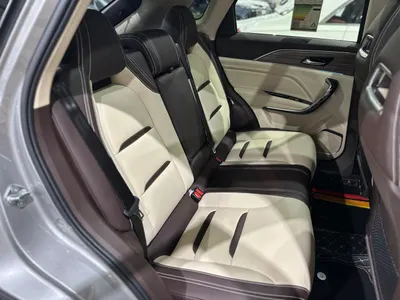 2025 فاو بيستون تي 77