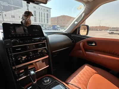 2023 نيسان باترول بلاتينيوم