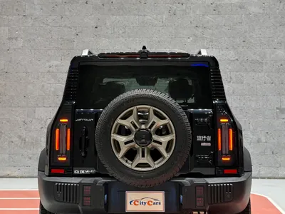 2025 جيتور تي 2