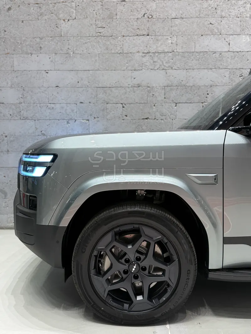 2025 بي واي دي ليوبارد 8