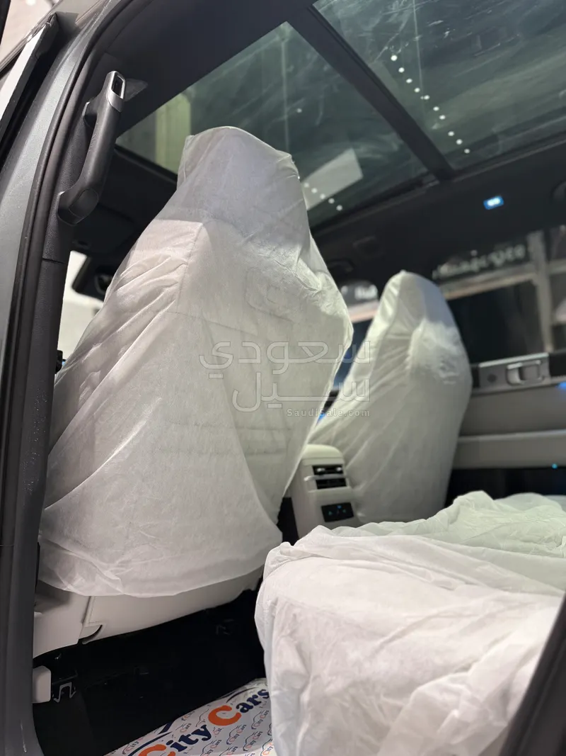 2025 بي واي دي ليوبارد 8